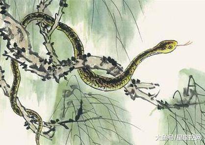 饥饿难耐 難耐一餅 難求尽日时闻下子声打一准确生肖详细解答、深度解答解释落实