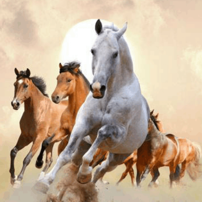 骑马找马打一准确生肖的警惕虚假宣传-全面释义、专家解答解释落实