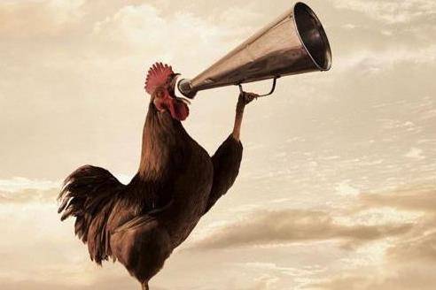 嘴上功夫打一准确生肖，详细解答、全面解答解释落实