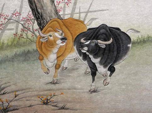 举案齐眉夫妻相是龙是封双双对打一生肖，详细解答、专家解答解释落实