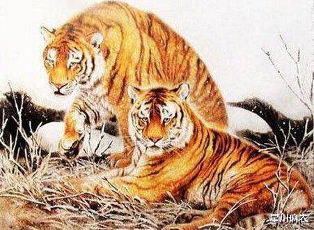 五霞光里佩环声，土山前面障南风打一准确生肖的警惕虚假宣传-全面释义、解释与落实、实证解答解释落实