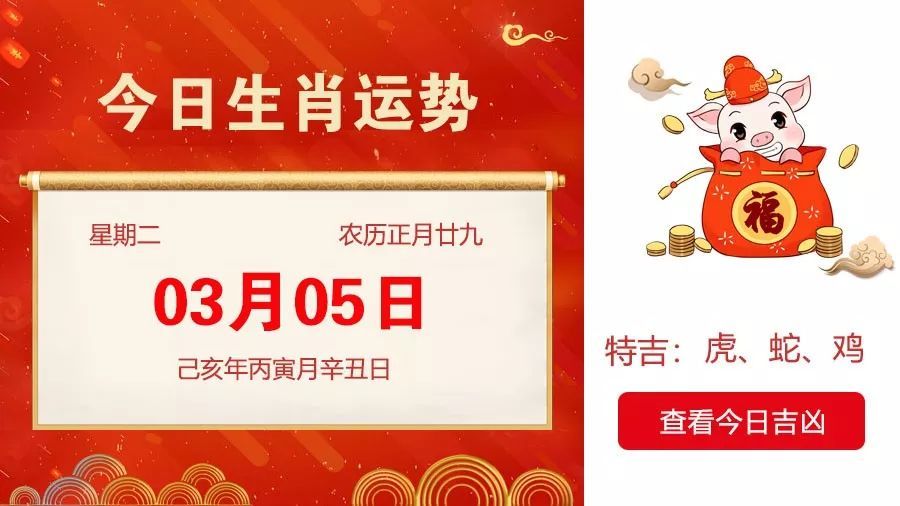 今期生肖三五开，武松打虎世人传打一准确生肖仔细释义、解释与落实、时代解答解释落实