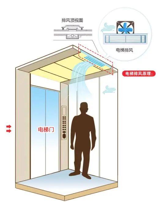 青篙巨点画楼东，折柳关亭醉眼红打一准确生肖，详细解答、定量解答解释落实