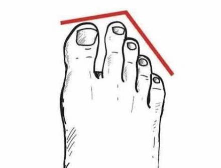 头重脚轻打一准确生肖，详细解答、构建解答解释落实