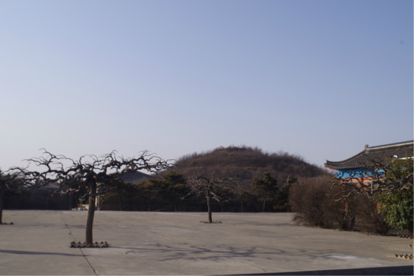 洛阳奇卉开一双,开声而动水上腾是指什么生肖的警惕虚假宣传-构建解答解释落实