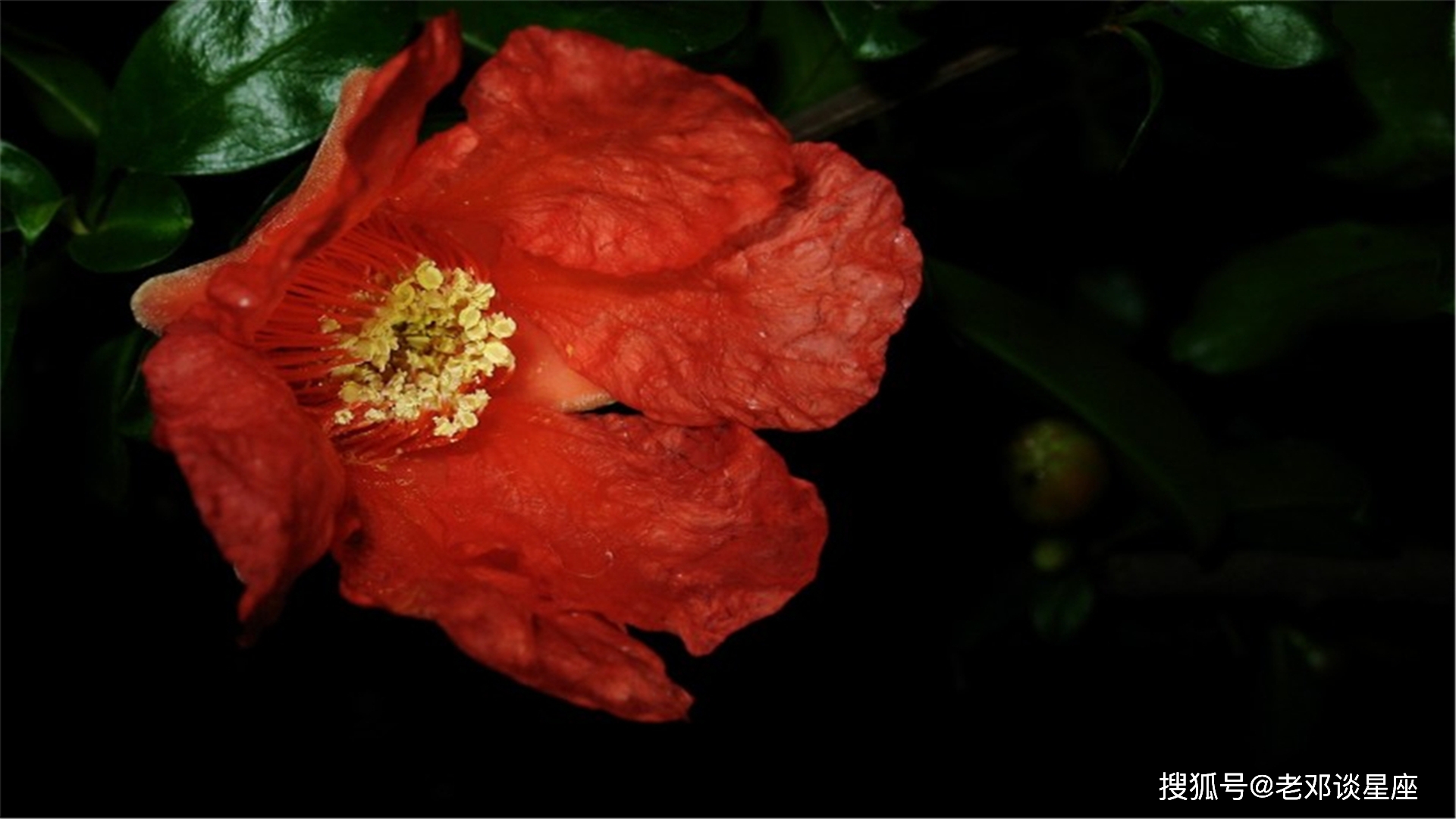 却有天间两阴会，春天里头开红花打一准确生肖的警惕虚假宣传-科学解答解释落实