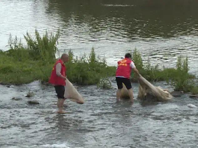 脱难江流来国土，承恩八戒转山林打一准确生肖全面释义、构建解答解释落实