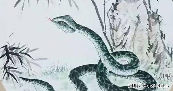 欲钱看唱歌不看曲本打一准确生肖、警惕虚假宣传-全面释义、构建解答解释落实