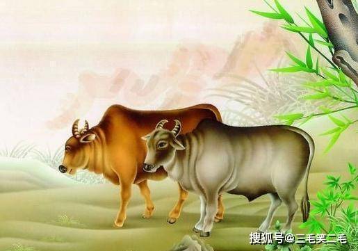 牛马勤劳兔无为打一准确生肖，全面释义、构建解答解释落实