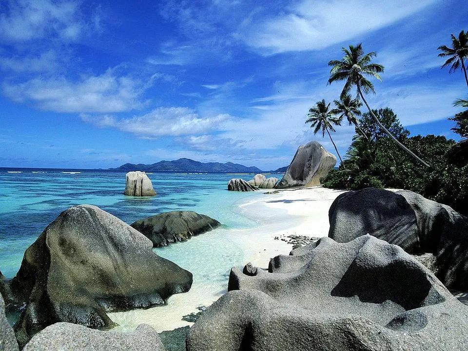 风光无限打一准确生肖的全面释义、解释与落实、专家解答解释落实