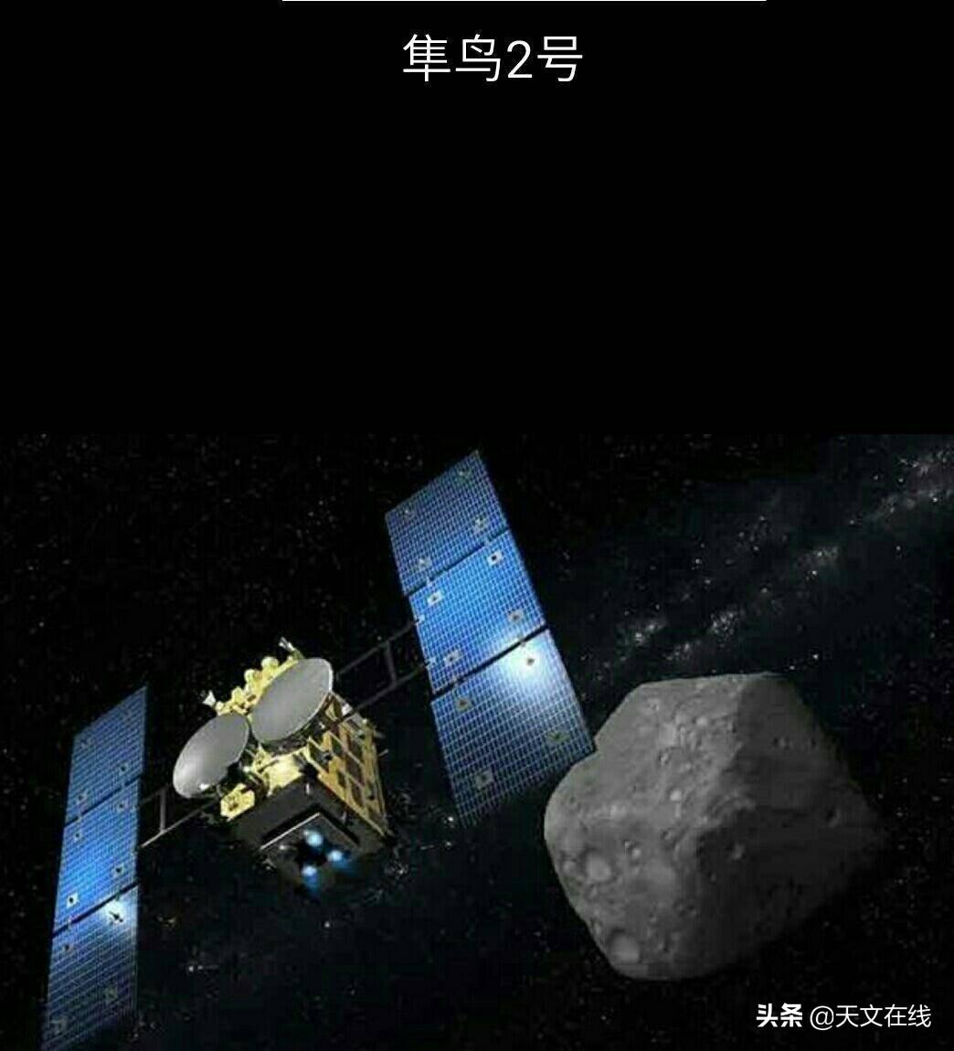 牧猪奴戏打一准确生肖，全面释义、构建解答解释落实