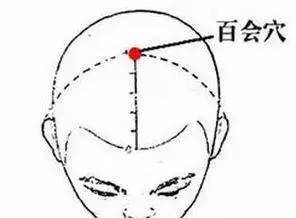 头重脚轻打一准确生肖，详细解答、构建解答解释落实