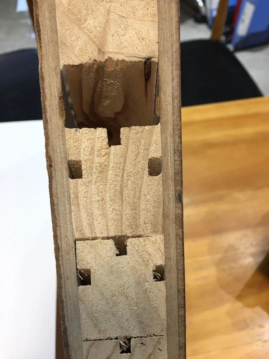 元宵十五好佳节,农夫家里出千金是什么生肖,警惕虚假宣传,统计解答解释落实