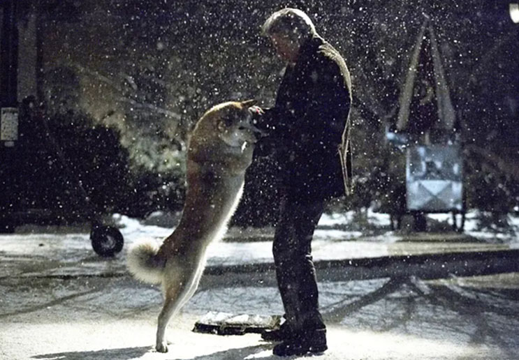 八公携手五云去，醉眠松石枕空杯打一准确生肖的全面释义、解释与落实、构建解答解释落实