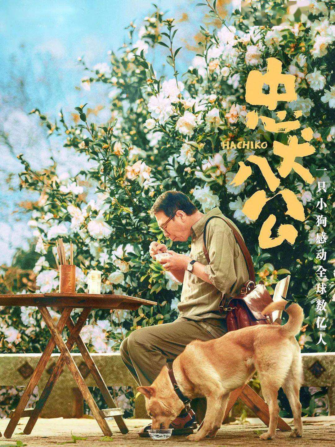 八公携手五云去，醉眠松石枕空杯打一准确生肖的全面释义、解释与落实、构建解答解释落实