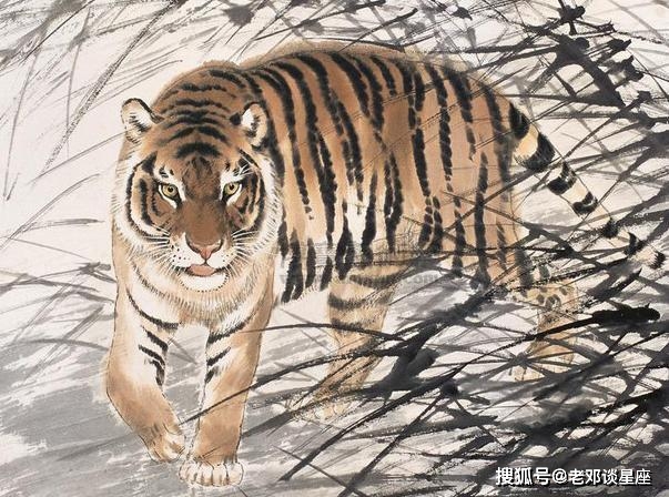 走财闯北无功名冲锋陷阵奏凯歌什么生肖详细解答、科学解答解释落实