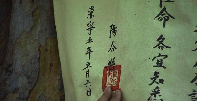 今期生肖三五开，武松打虎世人传打一准确生肖全面释义、深度解答解释落实