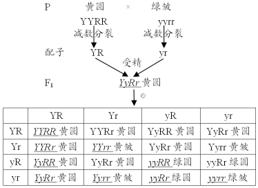 道人本期点灵码，二三合成五六码打一准确生肖请全面2释义、解释与落实、构建解答解释落实