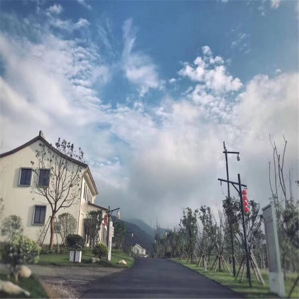 洛阳奇卉开一双,开声而动水上腾是指什么生肖精选解析、解释与落实、构建解答解释落实