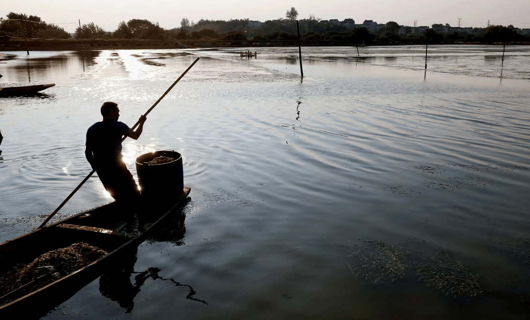 躲開紛摄，獨善其身。仙风道骨果清奇打一准确生肖，全面释义、定量解答解释落实