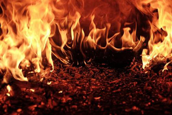 火燒火燎打一准确生肖,警惕虚假宣传、全面解答、前沿解答解释落实