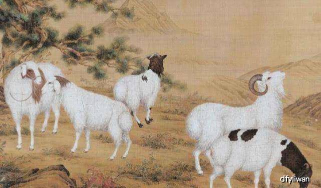 遮风挡雨打一最佳生肖，详细解答、定量解答解释落实