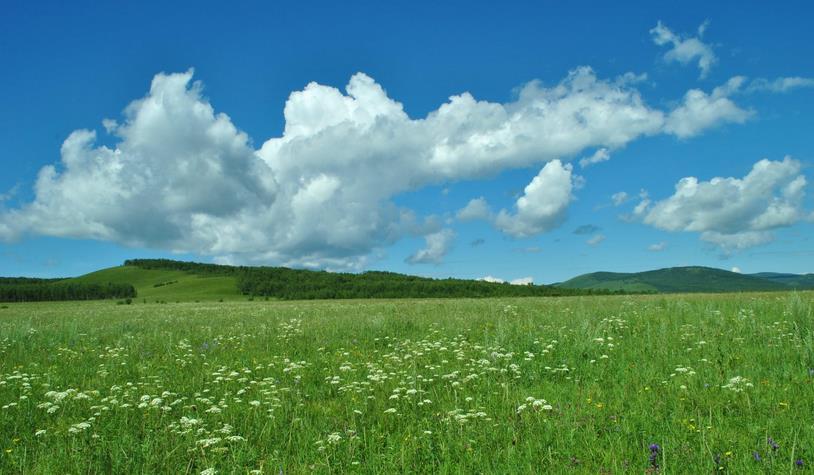 风光无限打一准确生肖的全面释义、解释与落实、专家解答解释落实