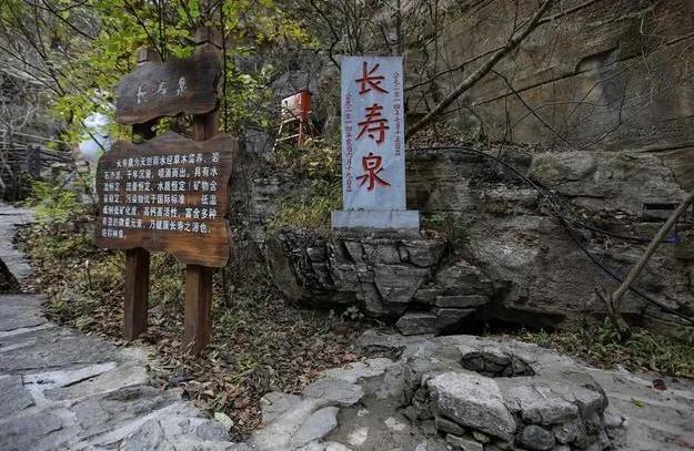 再生之德打一准确生肖,警惕虚假宣传-全面释义、解释与落实、实时解答解释落实