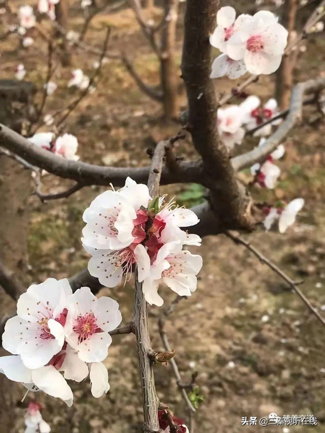 满圈绿色春意浓 八片中秋是佳节打一准确生肖的警惕虚假宣传-全面释义、解释与落实、前沿解答解释落实