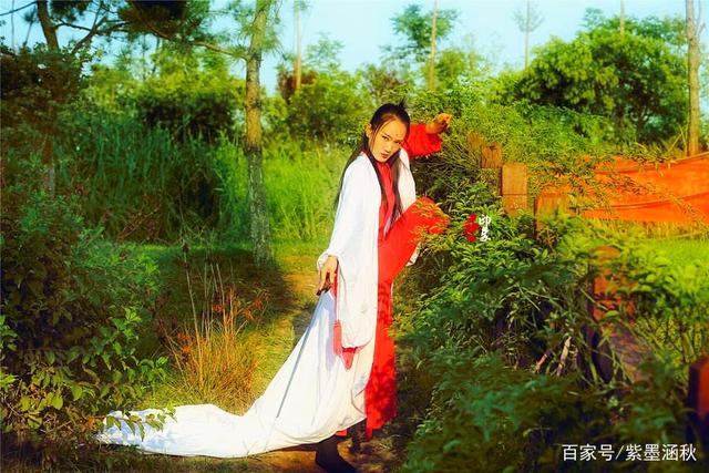 田园已没红尘里，寒食已近沟已淘打一准确生肖精选解析、解释与落实、实时解答解释落实