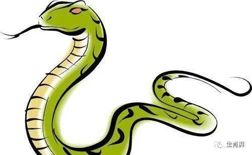 半生尝胆打一准确生肖详细解答、全面解答解释落实