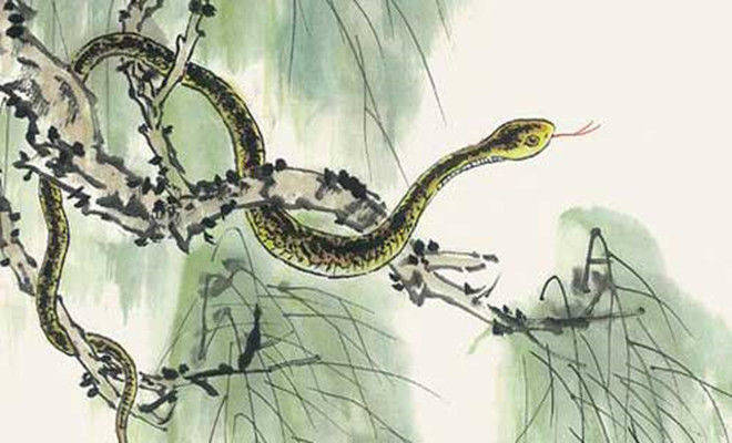 欲钱看唱歌不看曲本打一准确生肖，全面释义、深度解答解释落实