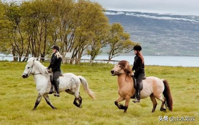 骑马找马打一准确生肖,警惕虚假宣传,精准解答解释落实