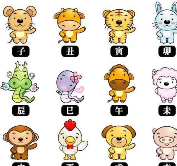 今期生肖一九开,狗打老鼠无功劳打一准确生肖,全面释义、实时解答解释落实 今期生肖一九开,狗打老鼠无功劳打一准确生肖,全面释义、实时解答解释落实