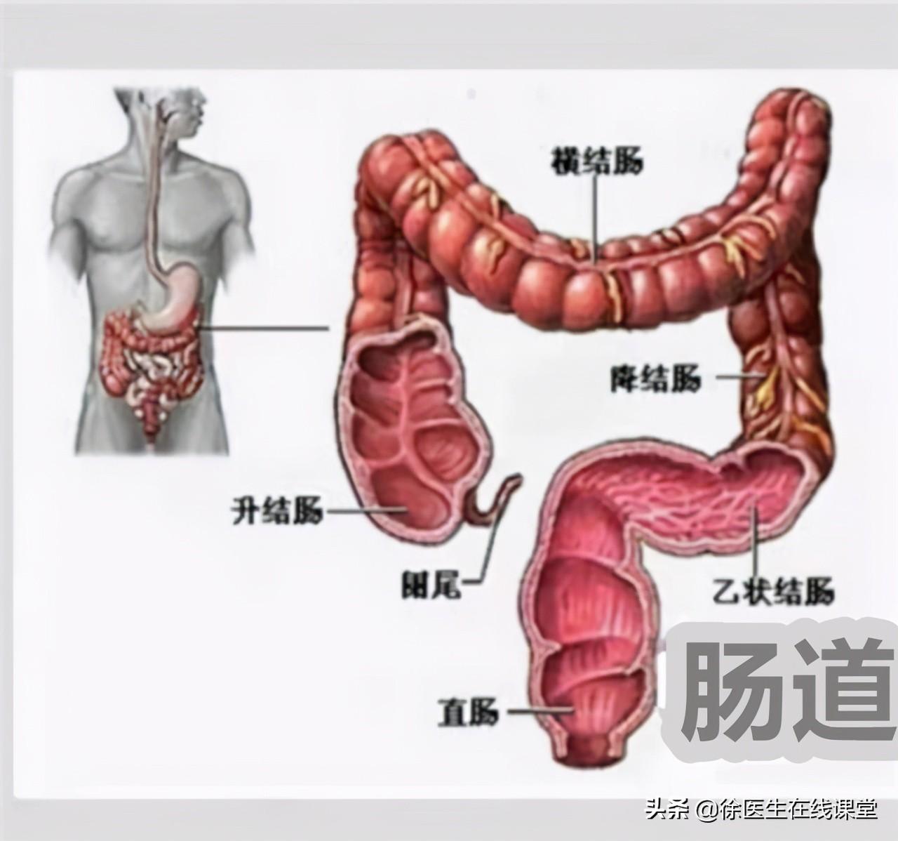 今期生肖二七加 六合出在百姓家打一准确生肖,详细解答、科学解答解释落实 今期生肖二七加 六合出在百姓家打一准确生肖,详细解答、科学解答解释落实