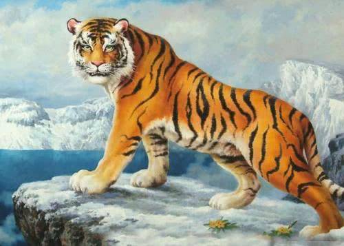 虎虎生威打一准确生肖详细解答、解释与落实、综合解答解释落实 虎虎生威打一准确生肖详细解答、解释与落实、综合解答解释落实