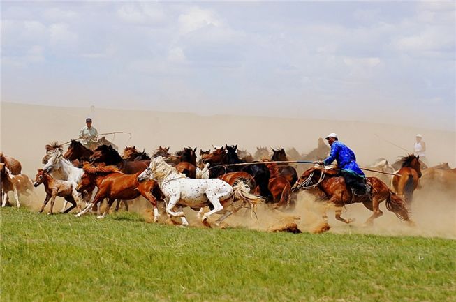 吉气本来家乡簧，万马奔腾艳阳天打一准确生肖、警惕虚假宣传-全面释义、构建解答解释落实