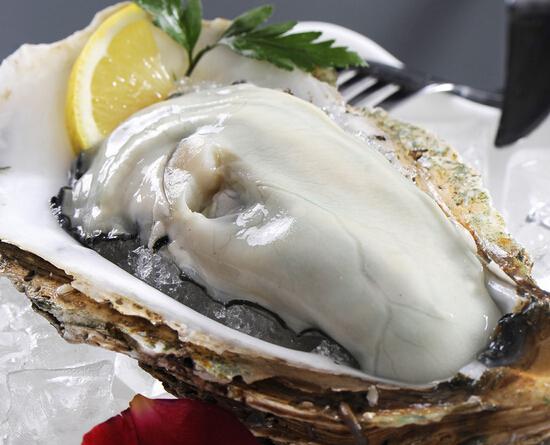 如坐针蚝打一准确生肖,警惕虚假宣传,构建解答解释落实