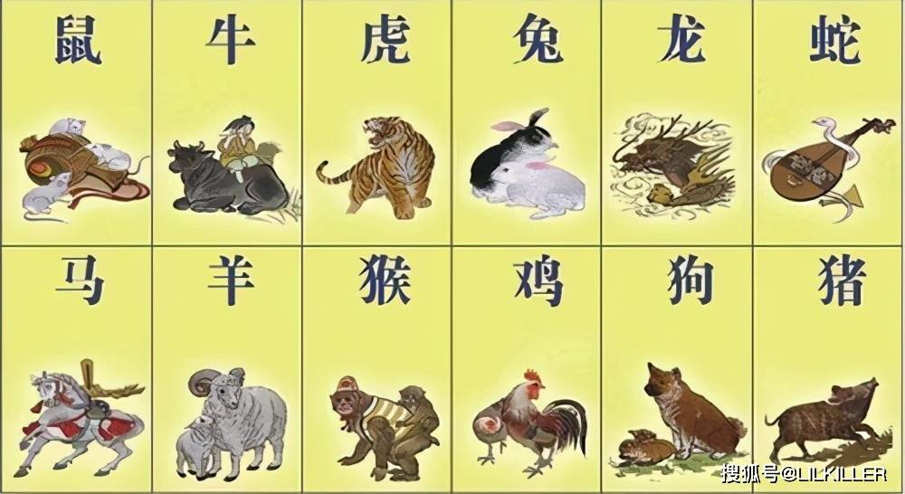 狗羊牛猴中了特大数之码开了中打一准确生肖仔细释义、解释与落实、实证解答解释落实