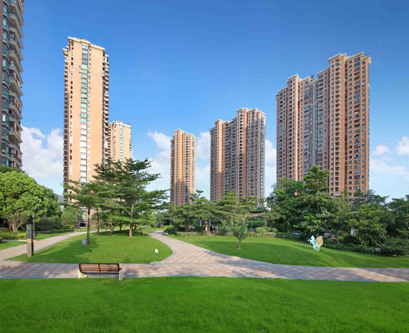 八公携手五云去，醉眠松石枕空杯打一准确生肖，详细解答、全面解答解释落实