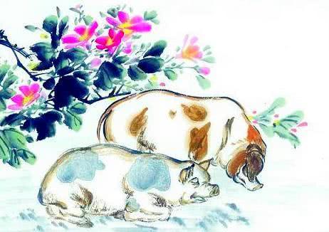 遮风挡雨打一最佳生肖，详细解答、定量解答解释落实