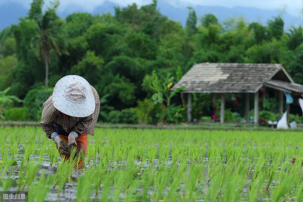 感同身受打一准确生肖，全面释义、构建解答解释落实