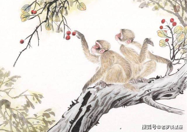 欲钱看雨打黄梅头打一准确生肖详细解答、解释与落实、科学解答解释落实