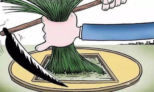 奇謀法寶，解數渾身，聰明自可睇得真打一准确生肖的警惕虚假宣传-全面解答解释落实