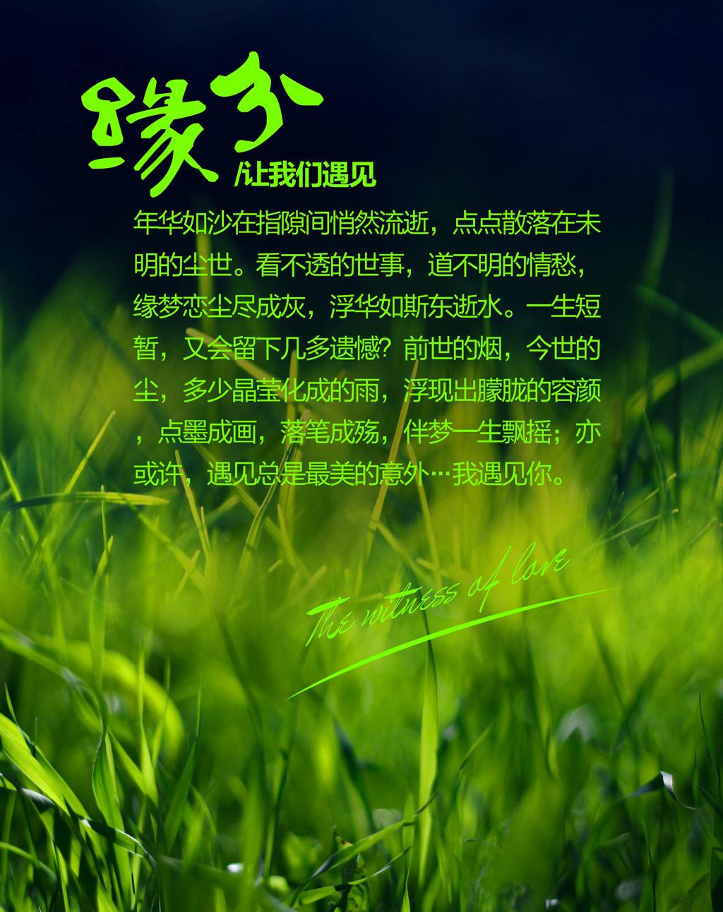 六合中间问缘分，时来运转码中游打一准确生肖,警惕虚假宣传落实,构建解答解释落实