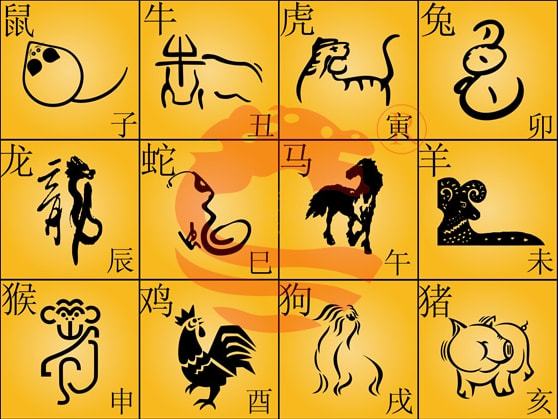 今期生肖一三开，二人开出一七跟打一准确生肖精选解析、解释与落实、专家解答解释落实