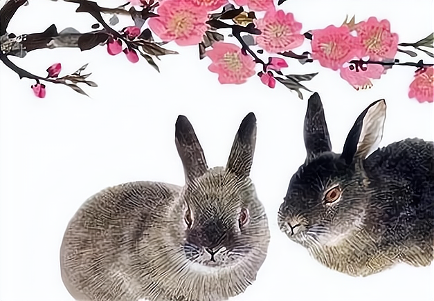 牛马勤劳兔无为打一准确生肖，全面释义、构建解答解释落实