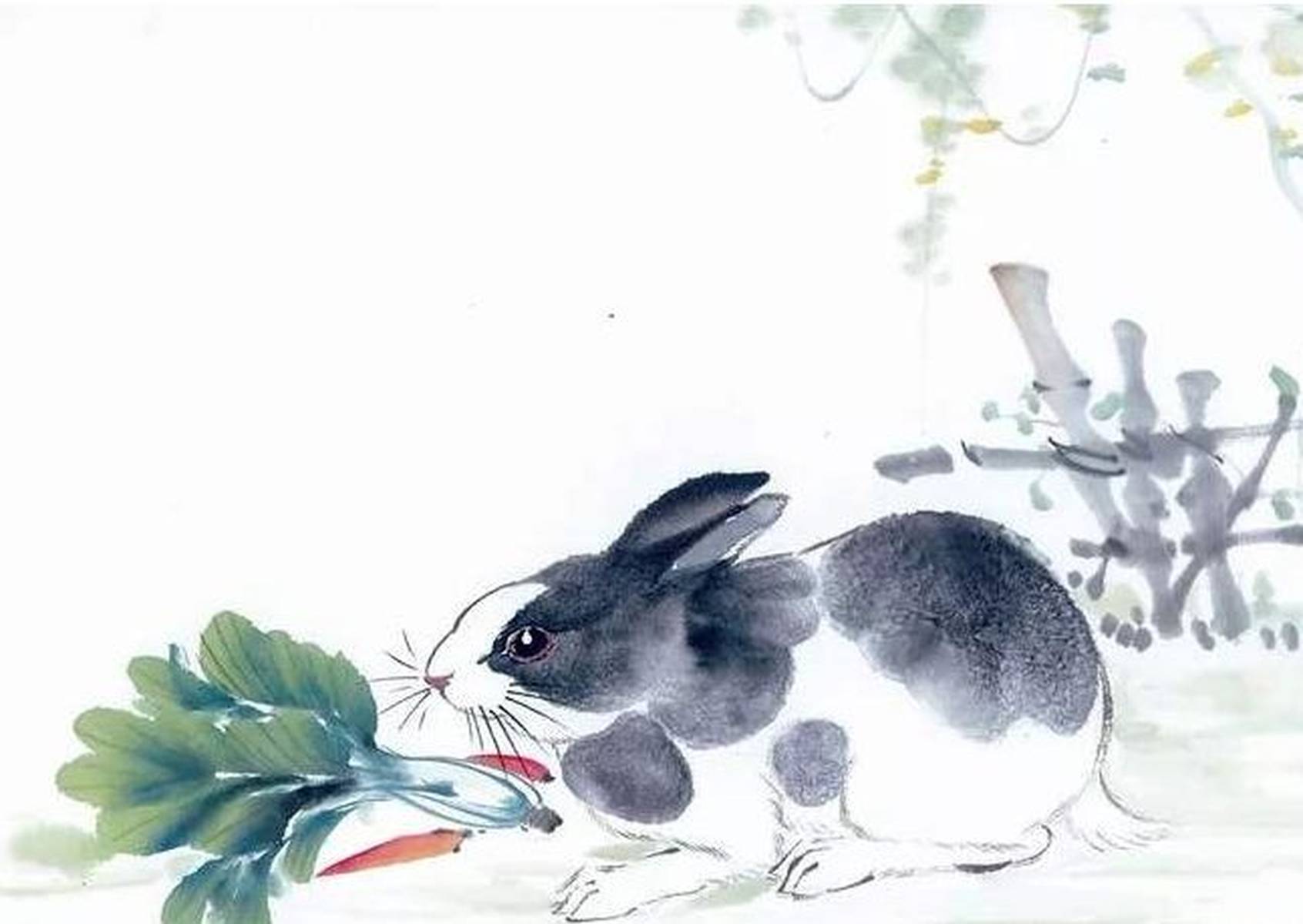 红花映日展风姿,说完唐诗赞宋词打一准确生肖全面释义、时代解答解释落实