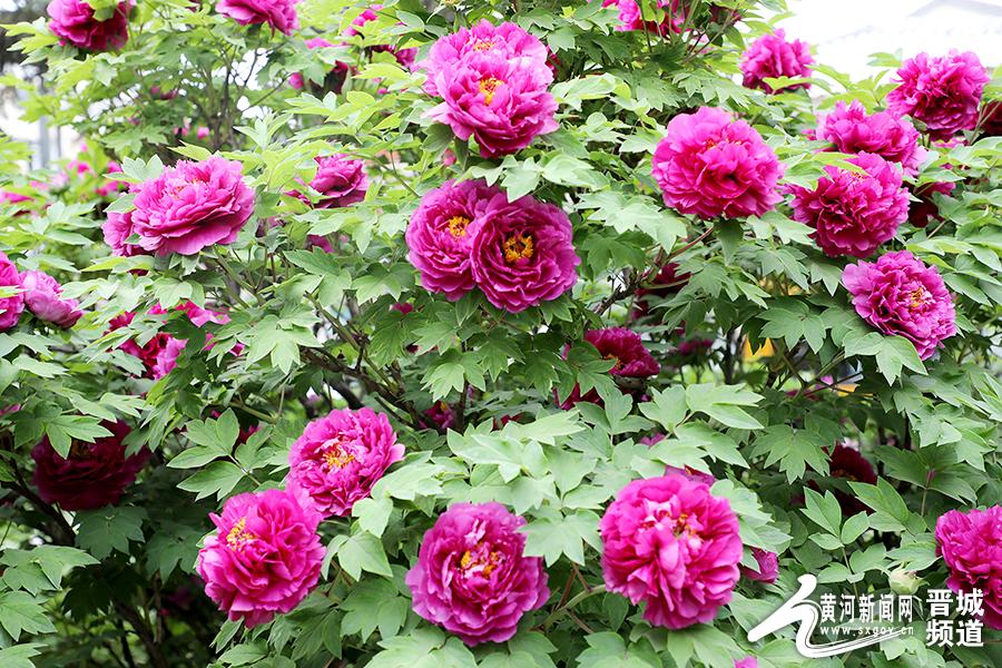 满圈绿色春意浓 八片中秋是佳节打一准确生肖的警惕虚假宣传-全面释义、解释与落实、前沿解答解释落实