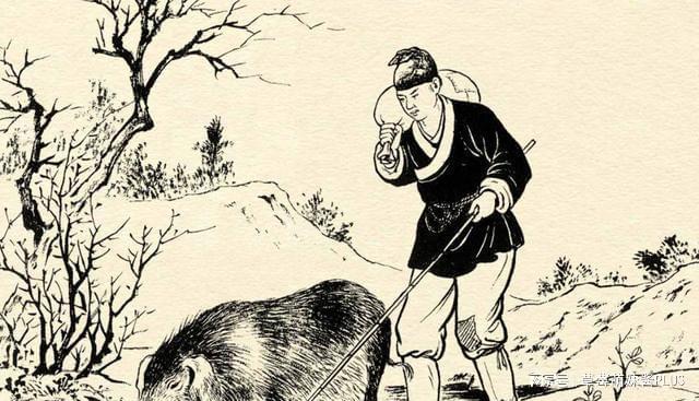 夜半三更才归家打一准确生肖精选解析、解释与落实、实证解答解释落实